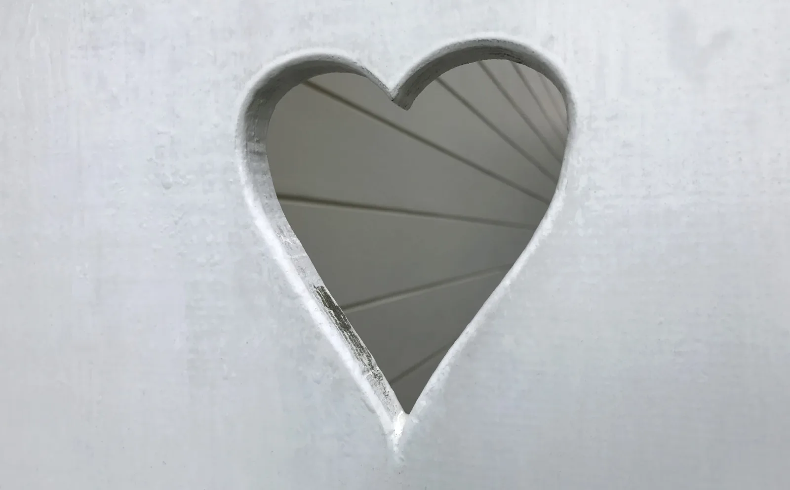 The Connection Between Heart Health and Lifespan