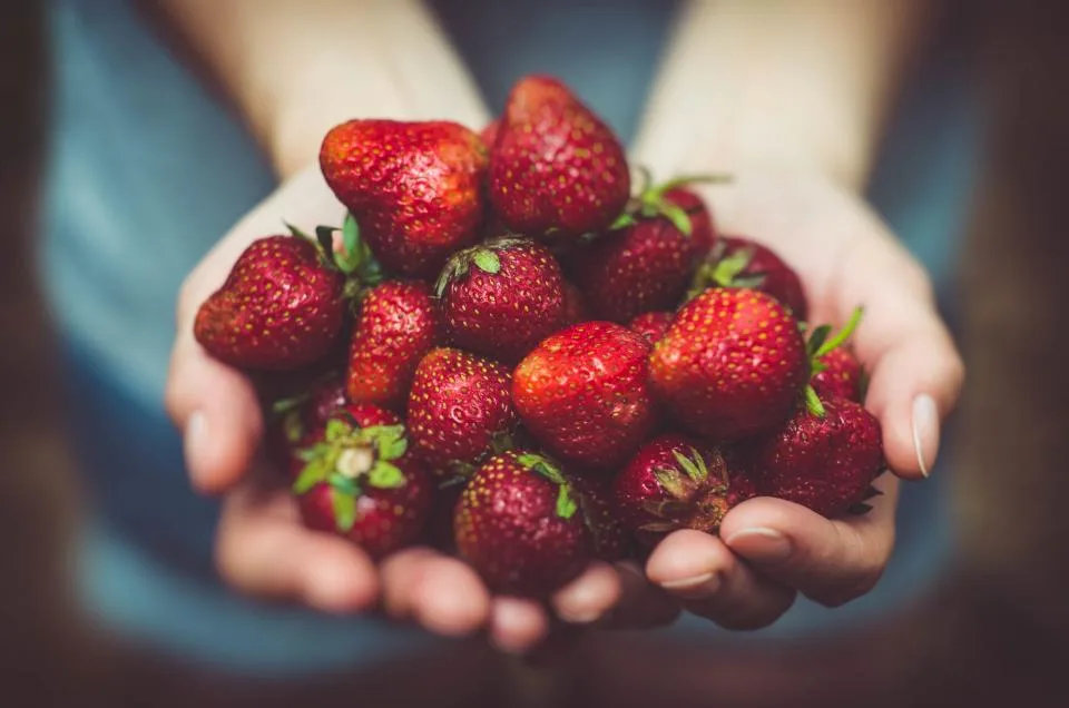 Ultra-Processed Foods Linked to Poorer Bone Health