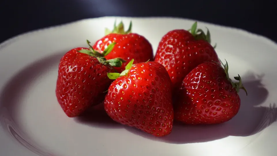 Ultraprocessed Foods: Addictive Risks and Policy Responses