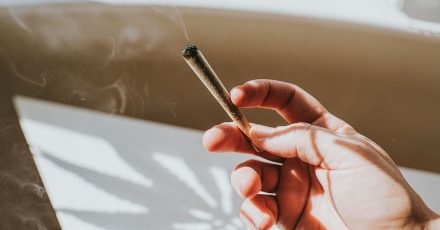 Type 2 Diabetes Risk Quadruples With Cannabis Use