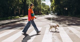 Early Natural Menopause Linked to 27% Higher Risk of Metabolic Syndrome