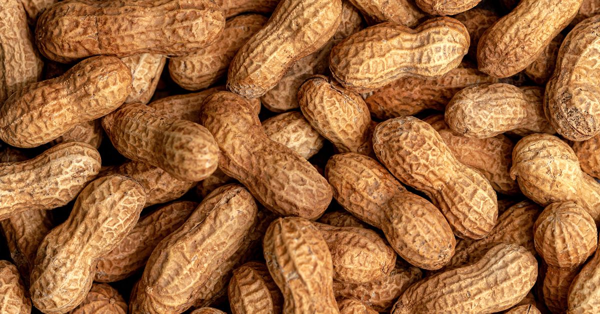 Peanut Allergies Decline Overall Following Early Introduction Guidelines
