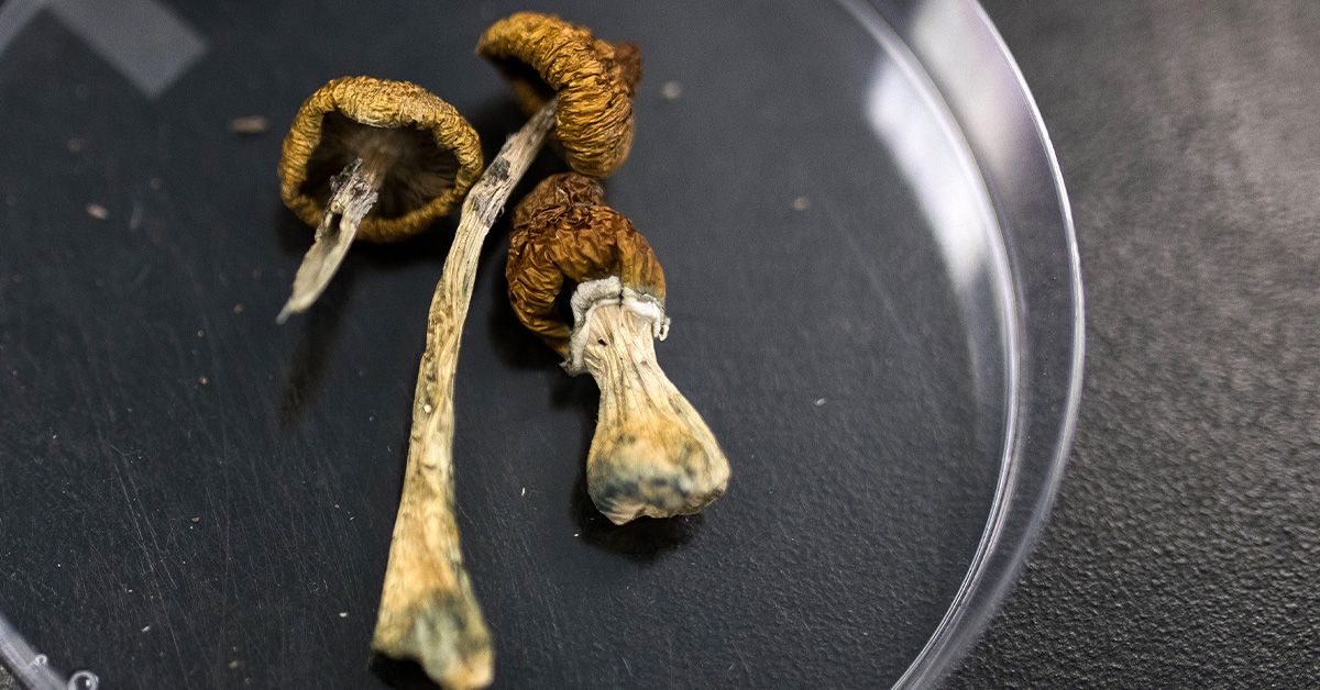 Psilocybin 6 Times More Effective Than Nicotine Patch to Help Smokers Quit