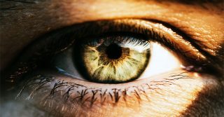 Wegovy May Have Higher Risk of ‘Eye Stroke,’ Vision Loss Than Ozempic